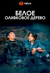 Белое оливковое дерево